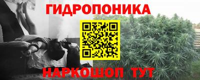 гашик Ливны