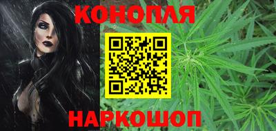 гашик Ливны