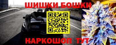 гашик Ливны