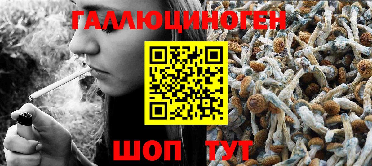 Холмск  Псилоцибиновые грибы мухоморы  Вход с VPN  Галлюциногенные грибы Psilocybe 
